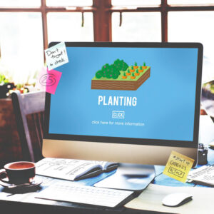 Developer Sandbox Environment